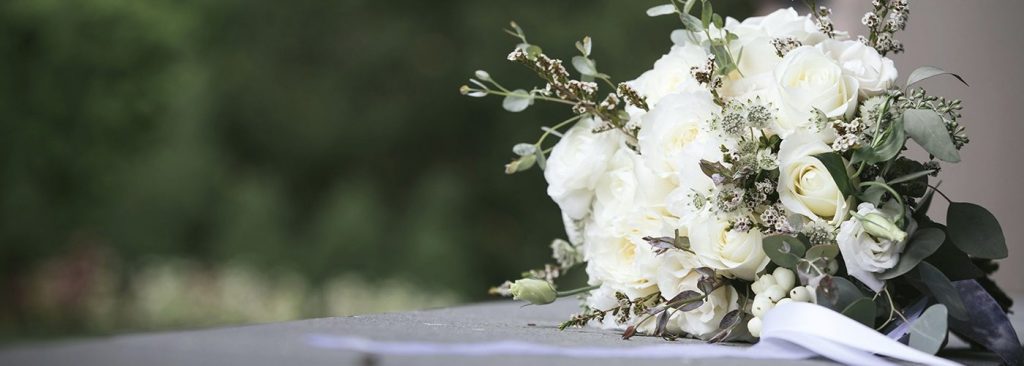 banner5-1400x500-1